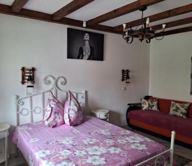 Baile Herculane Apartment | Apartament ELVIRA Băile Herculane