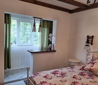 Baile Herculane Apartment | Apartament ELVIRA Băile Herculane