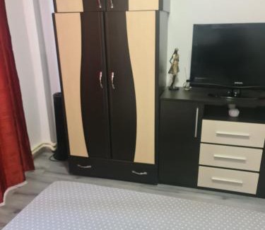 Nehoiu Apartment | Apartament Geo