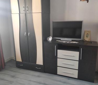 Nehoiu Apartment | Apartament Geo