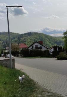 Bardo Apartment | Apartament Hokus Pokus