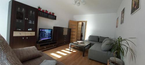 Siemianowice Slaskie Apartment | Apartament JUKI, obok Katowice Wynajem na doby, krótkoterminowy, 2 pokoje balkon, 50m2,- po kapitalnym remoncie 2-ga sypialnia jest częścią salonu blisko Centrum Leczenia Oparzeń 2,5 km
