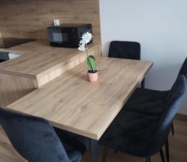 Brodnica Apartment | Apartament Karbowo