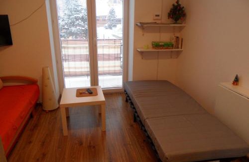 Krynica-Zdroj Apartment | Apartament Kraszewskiego
