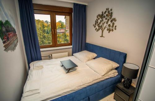 Zagan Apartment | Apartament Książęcy przy Pałacu - klimatyzacja