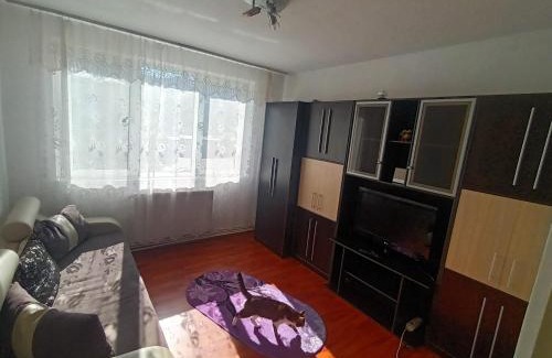Petrosani Apartment | Apartament Magic