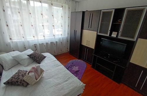 Petrosani Apartment | Apartament Magic