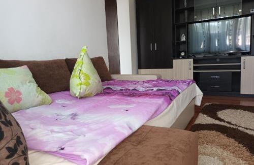 Petrosani Apartment | Apartament Magic