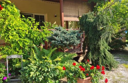Klodzko Miasto Apartment | Apartament Malinowa Dolina