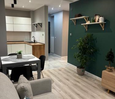 Ruda Slaska Apartment | Apartament Niedurnego 38