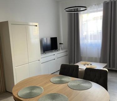 Olesno Apartment | Apartament Olesno