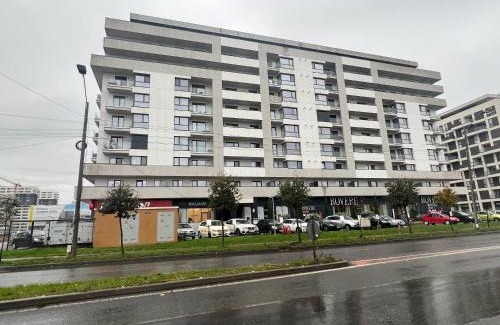 Timisoara Apartment | Apartament/penthouse SSARA