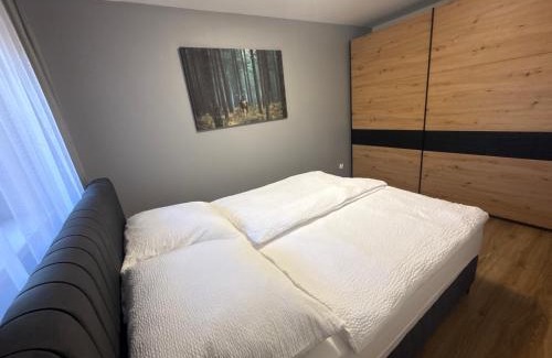Kudowa Zdroj Apartment | Apartament Pod Leśnym Niebem