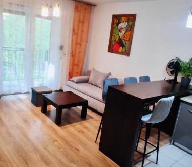 Jastrzebie-Zdroj Apartment | Apartament Podmiejska