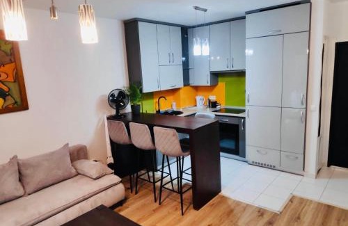 Jastrzebie-Zdroj Apartment | Apartament Podmiejska