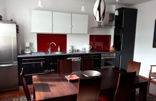 Dziaki Lesne Apartment | Apartament Podolska