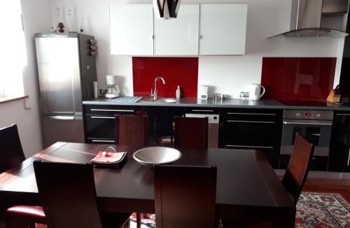 Dziaki Lesne Apartment | Apartament Podolska