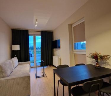 Subcarpathian Province Apartment | Apartament Potockiego Prywatny Parking Faktura