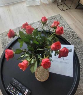 Redlowo Apartment | apartament przy plaży w Redłowie