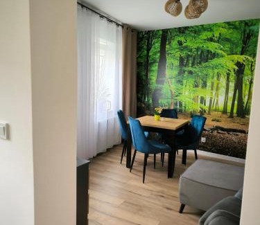 Radkow Apartment | Apartament Przy Rynku w Radkowie