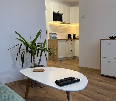 Torun Apartment | Apartament Rubinowy
