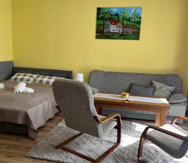 Stronie Slaskie Apartment | Apartament Salamandra Uno