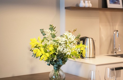 Banyoles Apartment | APARTAMENT SUPERIOR