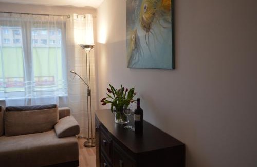 West Pomeranian Voivodeship Apartment | Apartament Szczecin Pomorzany