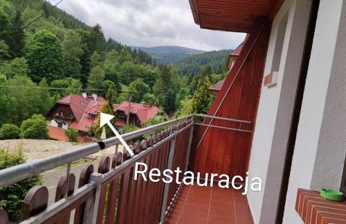 Stronie Slaskie Apartment | Apartament Szumi Las Kletno