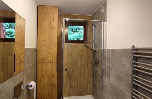 Stronie Slaskie Apartment | Apartament Szumi Las Kletno