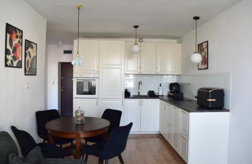 Opole Apartment | Apartament Teatralny - Komfort w Sercu Miasta Klimatyzacja