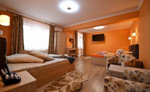 Hateg Apartment | Apartament TRIDENT