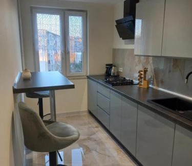 Raciborz Apartment | Apartament tuż przy Rynku