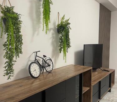 Sebes Apartment | Apartament Urban Chic