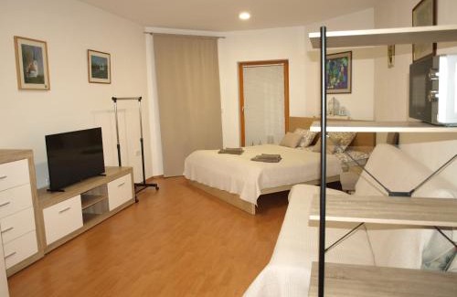 Ptuj Apartment | Apartament VISOTA