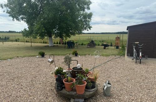 Gryfice House | Apartament Willa Dom wakacyjny Agroturystyka Zacisze11 Idealny dla rodzin z dziećmi Holiday Home Vacation House",