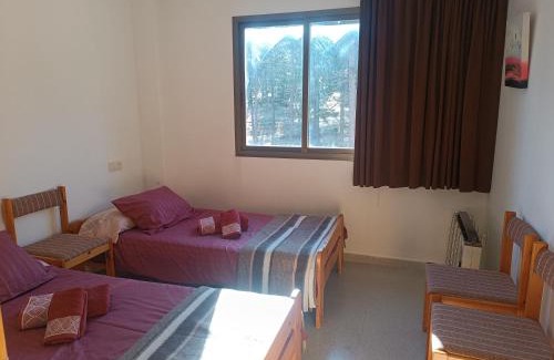 La Coma I la Pedra Apartment | Apartamento a pie de pistas Port del Comte