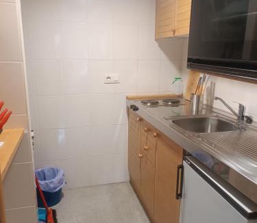 La Coma I la Pedra Apartment | Apartamento a pie de pistas Port del Comte