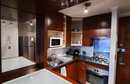 Bellas Artes Apartment | Apartamento Amoblado Sector Bellas Artes