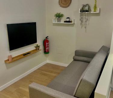 Torrelavega Apartment | Apartamento Coterío
