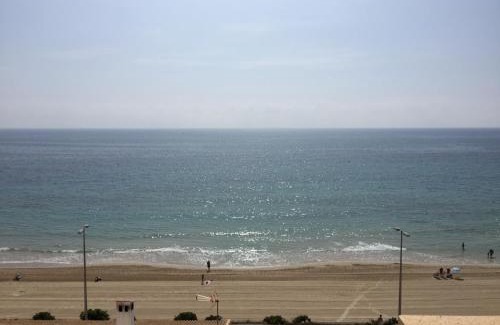 Mil Palmeras Apartment | Apartamento Quesada