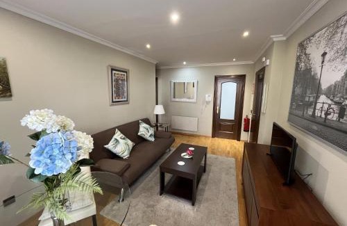 Pola de Siero Apartment | Apartamentos el Parque