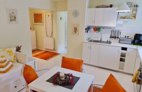 Busteni Apartment | Apartamentul ALB