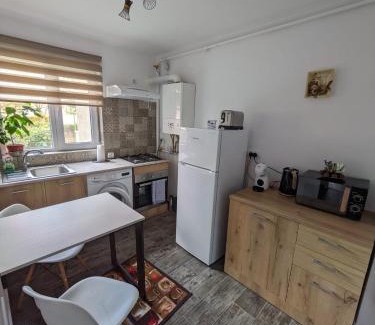 Slanic-Moldova Apartment | Apartamentul ALFA