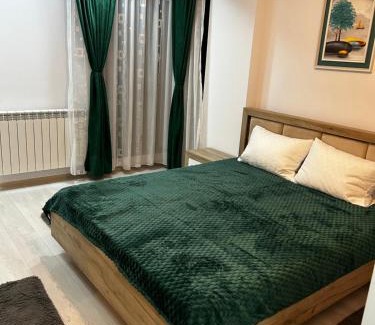 Tulcea Apartment | Apartamentul Verde