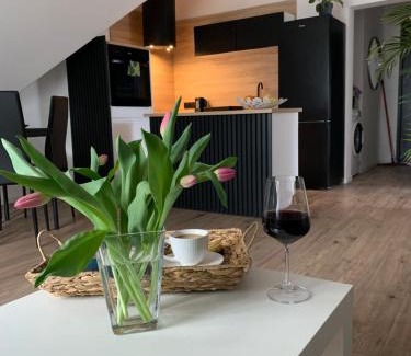 Szczawno-Zdroj Apartment | Apartamenty Astor - Słoneczny