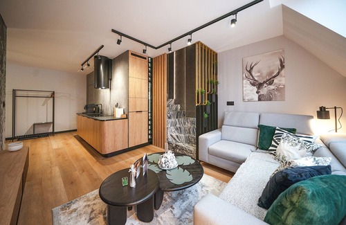 Koscielisko Apartment | Apartamenty Sun & Snow Chotarz Bór