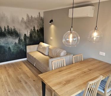 Polanczyk Apartment | Apartamenty Zdrojowa 6