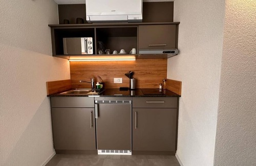 Unterseen Apartment | Aparthotel Krone - Self Check In