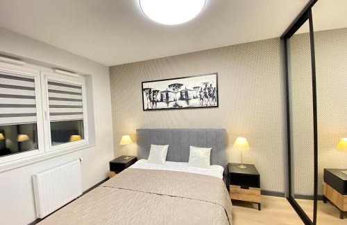 Psie Pole Apartment | Apartimento Vespa